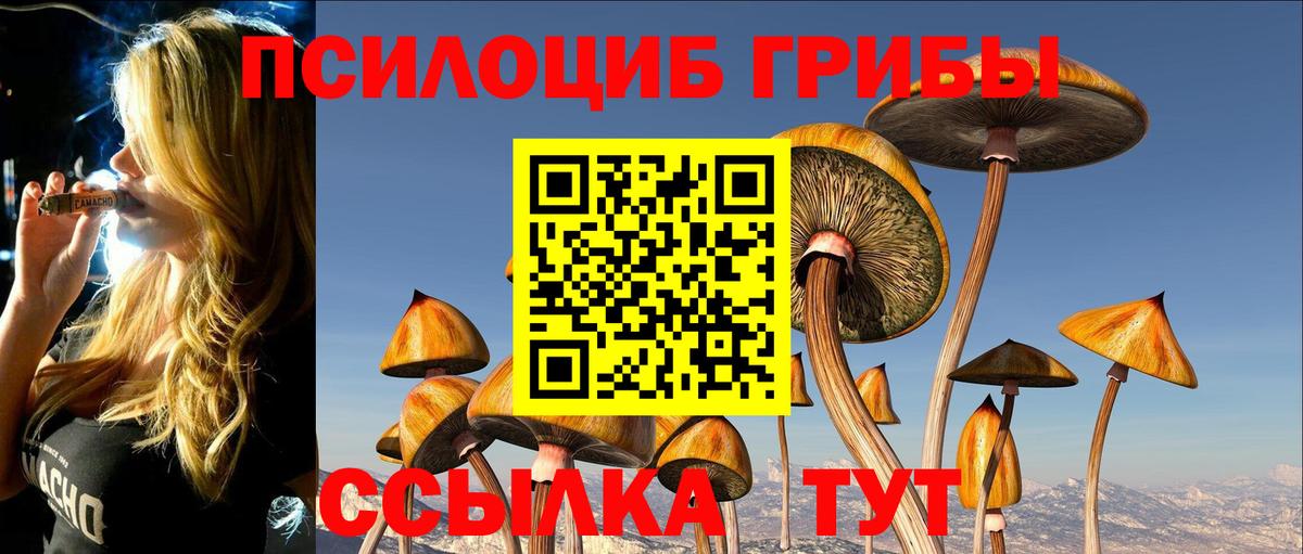 Псилоцибиновые грибы MAGIC MUSHROOMS Дзержинский