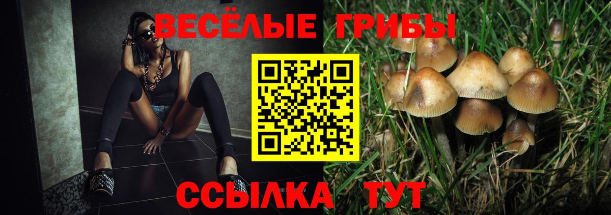 Дзержинский  Псилоцибиновые грибы мицелий  Вход с VPN 